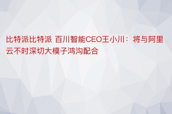 比特派比特派 百川智能CEO王小川：将与阿里云不时深切大模子鸿沟配合