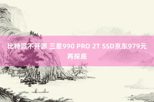 比特派不开源 三星990 PRO 2T SSD京东979元再探底