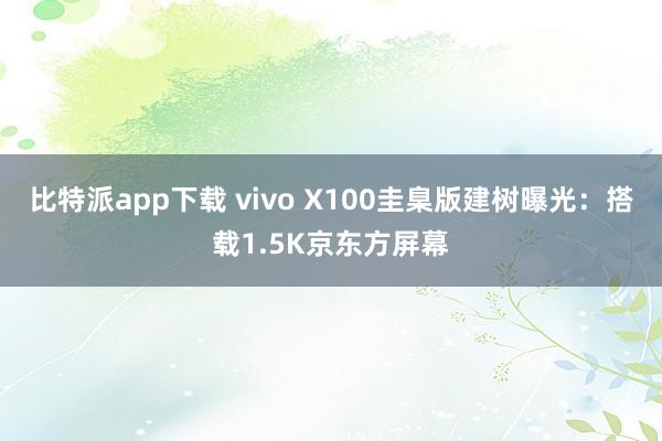 比特派app下载 vivo X100圭臬版建树曝光：搭载1.5K京东方屏幕