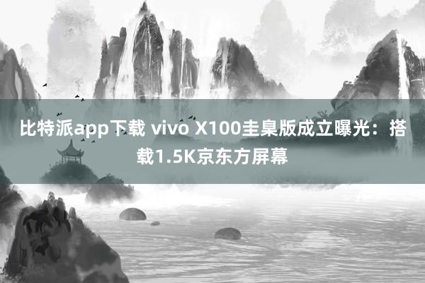 比特派app下载 vivo X100圭臬版成立曝光：搭载1.5K京东方屏幕