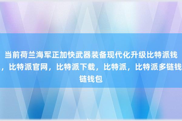 当前荷兰海军正加快武器装备现代化升级比特派钱包，比特派官网，比特派下载，比特派，比特派多链钱包