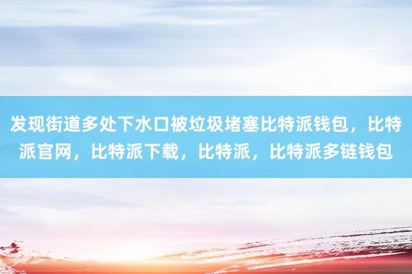 发现街道多处下水口被垃圾堵塞比特派钱包，比特派官网，比特派下载，比特派，比特派多链钱包