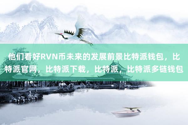 他们看好RVN币未来的发展前景比特派钱包，比特派官网，比特派下载，比特派，比特派多链钱包