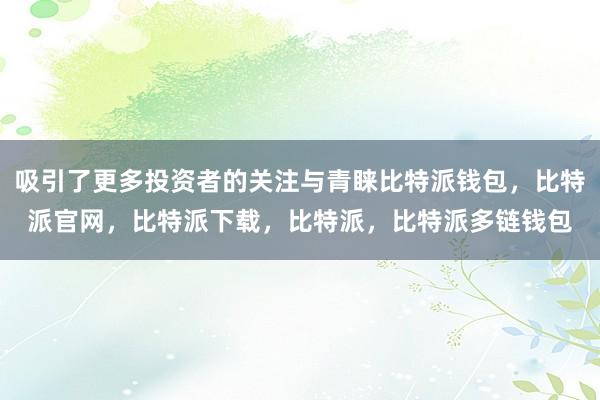 吸引了更多投资者的关注与青睐比特派钱包，比特派官网，比特派下载，比特派，比特派多链钱包