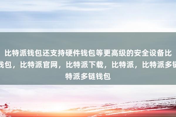 比特派钱包还支持硬件钱包等更高级的安全设备比特派钱包，比特派官网，比特派下载，比特派，比特派多链钱包