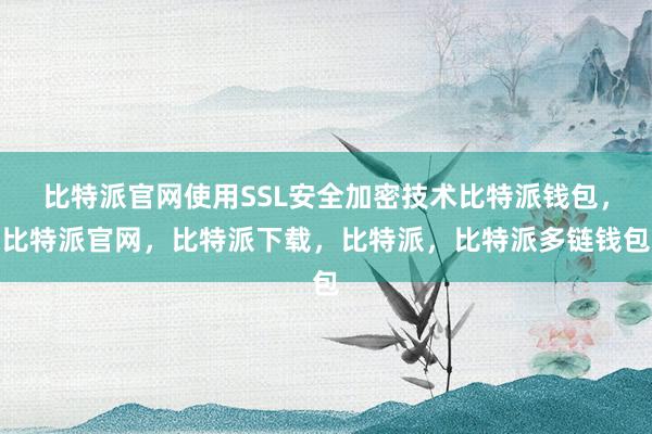 比特派官网使用SSL安全加密技术比特派钱包，比特派官网，比特派下载，比特派，比特派多链钱包