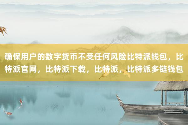 确保用户的数字货币不受任何风险比特派钱包，比特派官网，比特派下载，比特派，比特派多链钱包