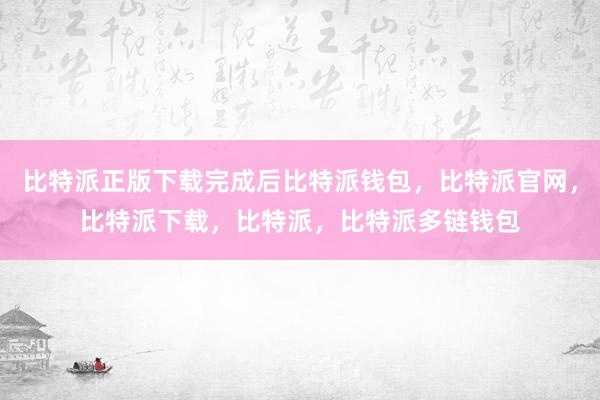 比特派正版下载完成后比特派钱包，比特派官网，比特派下载，比特派，比特派多链钱包