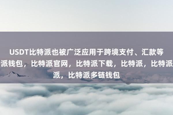 USDT比特派也被广泛应用于跨境支付、汇款等领域比特派钱包，比特派官网，比特派下载，比特派，比特派多链钱包