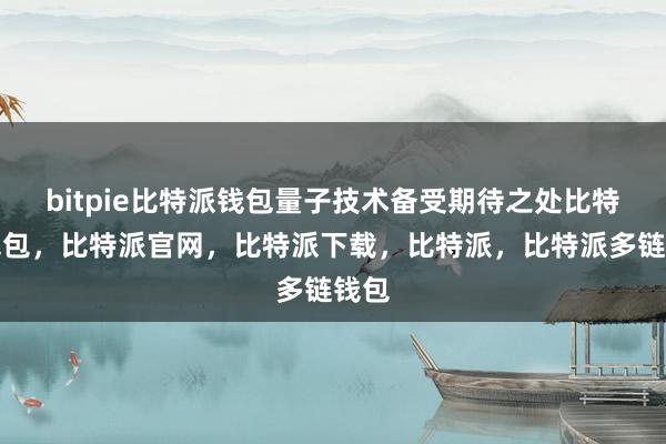 bitpie比特派钱包量子技术备受期待之处比特派钱包，比特派官网，比特派下载，比特派，比特派多链钱包