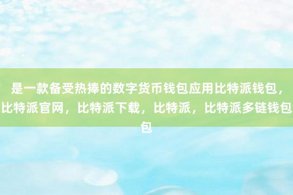 是一款备受热捧的数字货币钱包应用比特派钱包，比特派官网，比特派下载，比特派，比特派多链钱包