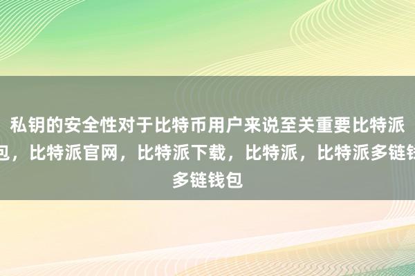 私钥的安全性对于比特币用户来说至关重要比特派钱包，比特派官网，比特派下载，比特派，比特派多链钱包