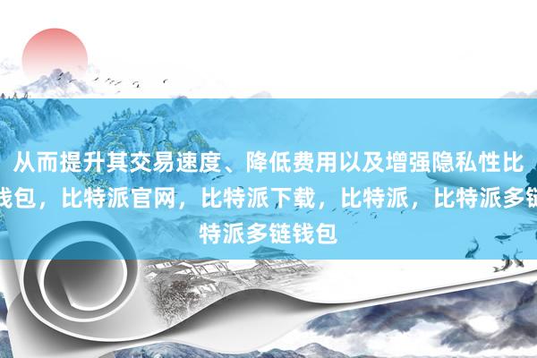 从而提升其交易速度、降低费用以及增强隐私性比特派钱包，比特派官网，比特派下载，比特派，比特派多链钱包