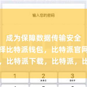 成为保障数据传输安全的首选选择比特派钱包，比特派官网，比特派下载，比特派，比特派多链钱包