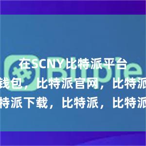 在SCNY比特派平台上比特派钱包，比特派官网，比特派下载，比特派，比特派多链钱包