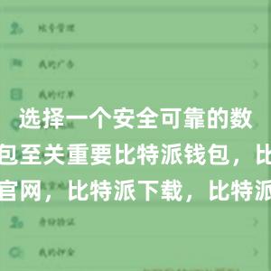 选择一个安全可靠的数字货币钱包至关重要比特派钱包，比特派官网，比特派下载，比特派，比特派多链钱包