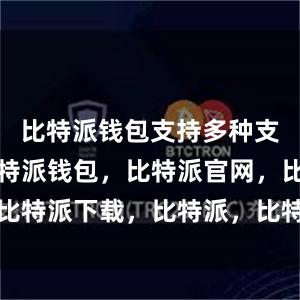 比特派钱包支持多种支付方式比特派钱包，比特派官网，比特派下载，比特派，比特派多链钱包