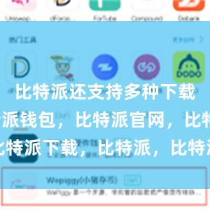 比特派还支持多种下载方式比特派钱包，比特派官网，比特派下载，比特派，比特派多链钱包